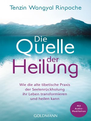 cover image of Die Quelle der Heilung